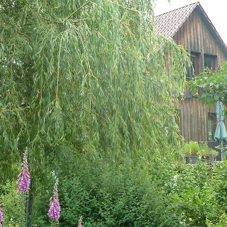Ferienwohnung Lotti Brotterode Rum bild