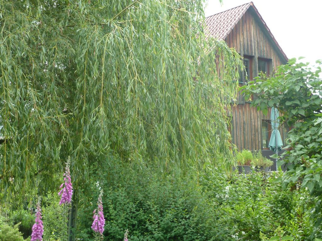 Ferienwohnung Lotti Brotterode Rum bild
